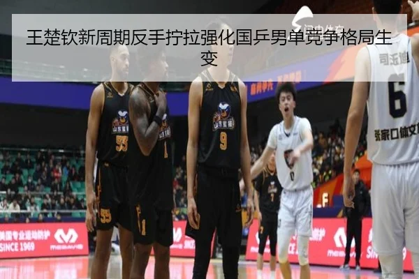 王楚钦新周期反手拧拉强化国乒男单竞争格局生变