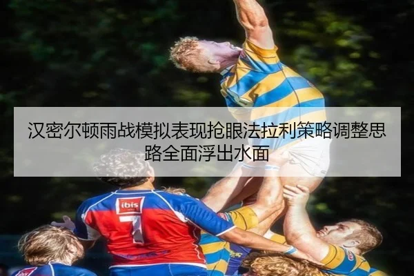汉密尔顿雨战模拟表现抢眼法拉利策略调整思路全面浮出水面